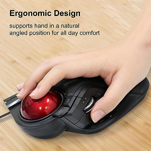  ELECOM HUGE Trackball Mouse for Accurate and Comfortable Computing
| ELECOM HUGE Trackball Mouse with 8 Buttons for Fas